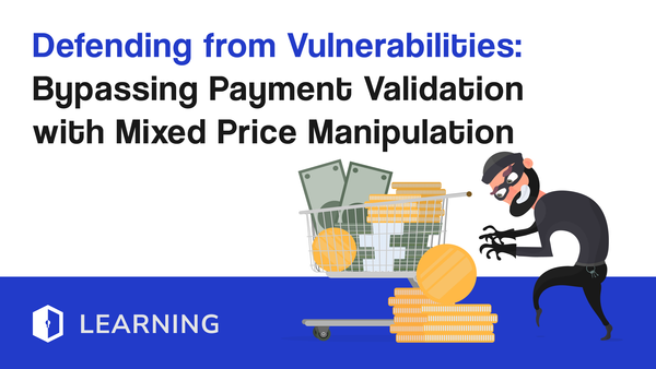 Defending from Vulnerabilities: Bypassing Payment Validation with Mixed Price Manipulation